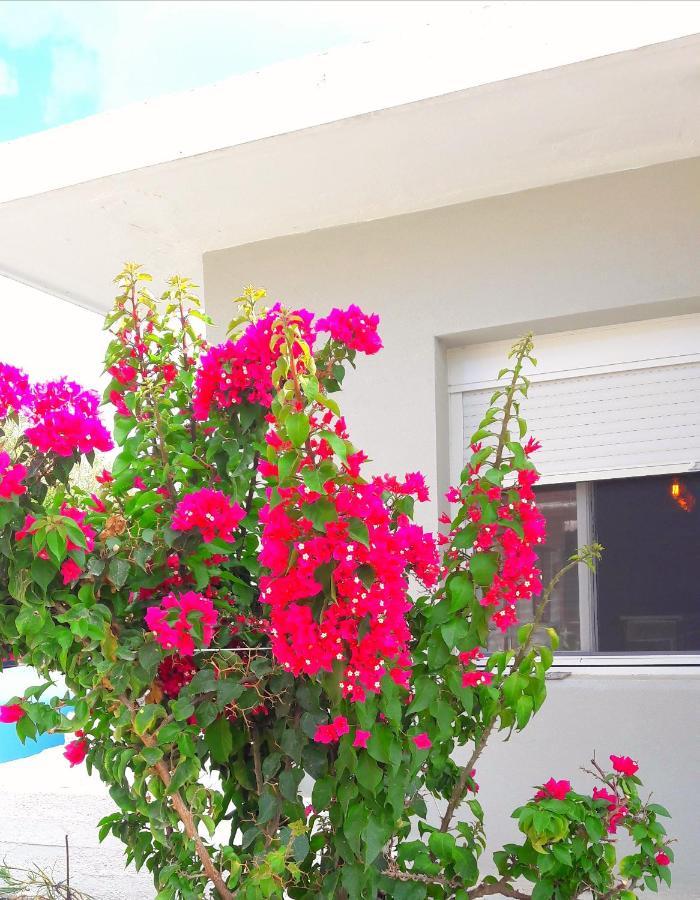 Casa Katina , Villa In Lagana, Agrilia Area Laganas Buitenkant foto