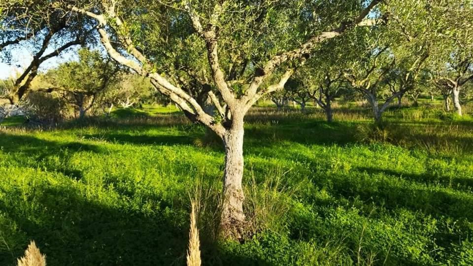 Casa Katina , Villa In Lagana, Agrilia Area Laganas Buitenkant foto