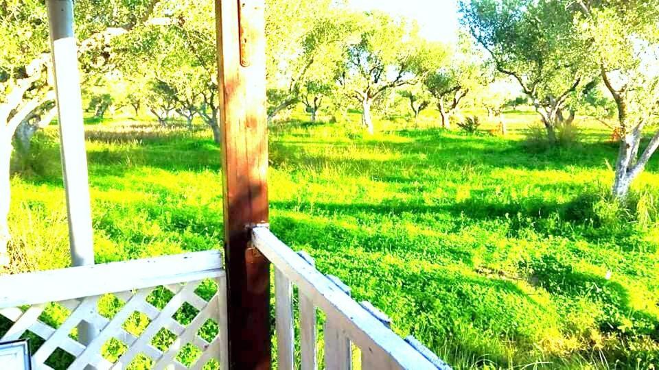 Casa Katina , Villa In Lagana, Agrilia Area Laganas Buitenkant foto