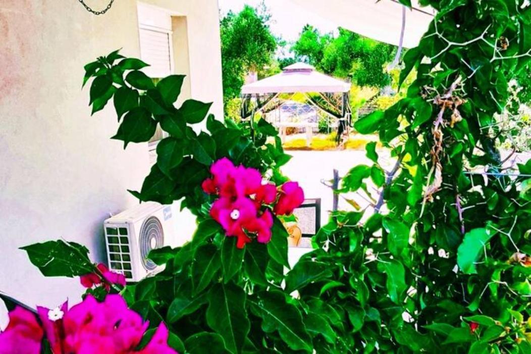 Casa Katina , Villa In Lagana, Agrilia Area Laganas Buitenkant foto